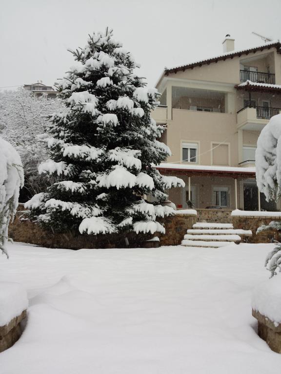 Xenonas Ioanni Parcha Hotel Levidhion Bagian luar foto